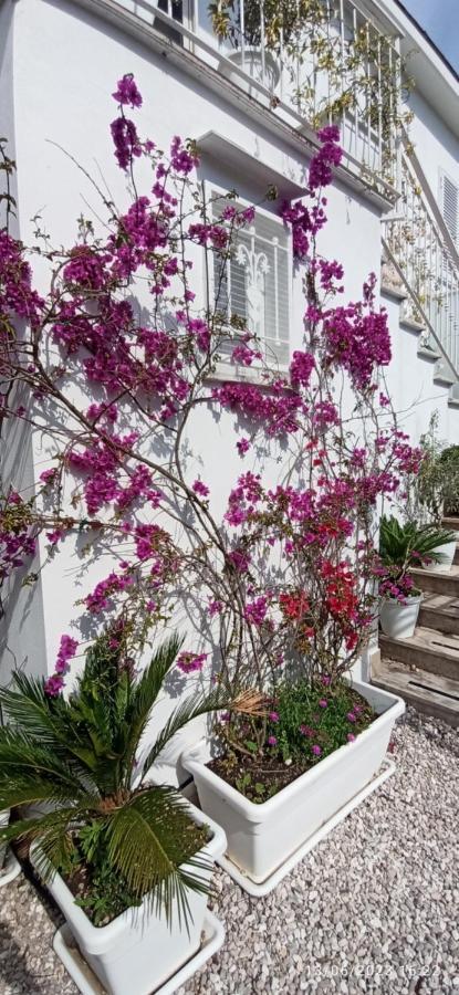 La Villa Degli Dei - Guest House Castellammare di Stabia Kültér fotó
